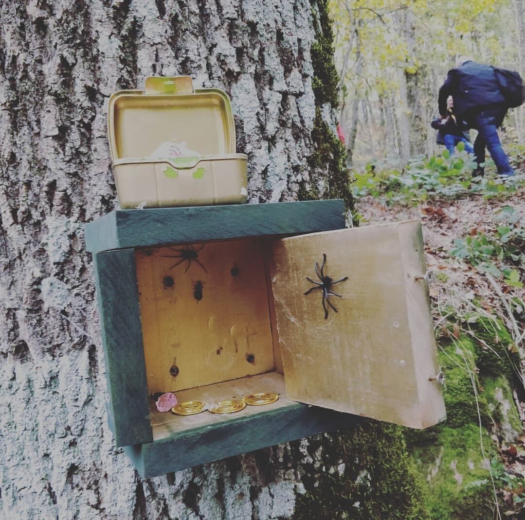 Cache décorée en boîte de bois ouverte contenant des pièces d'or factices