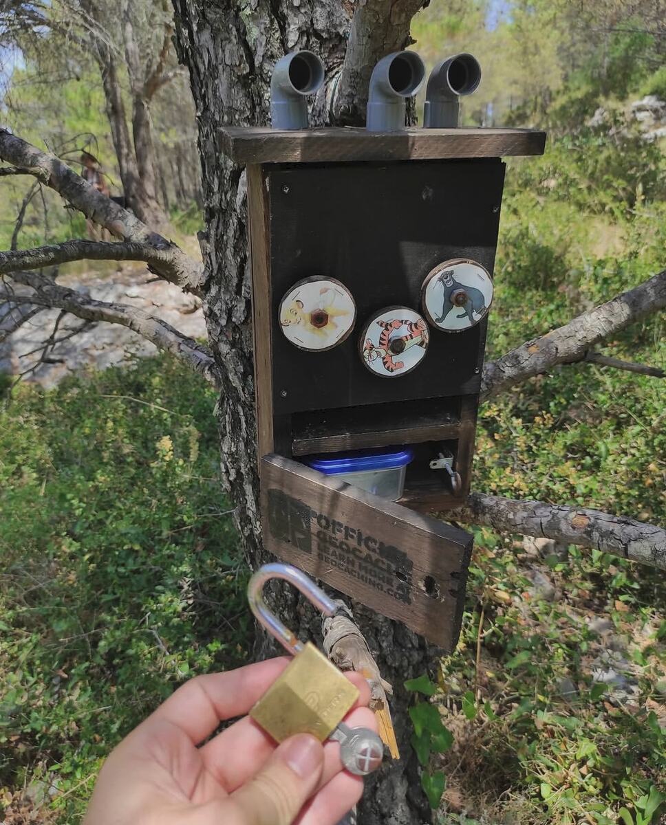 Cache à mécanisme en bois avec cadenas et roues à énigme fixée sur un arbre